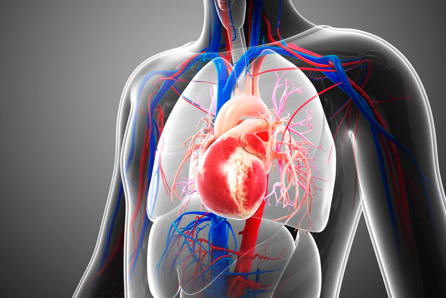 Thấp tim gây nhiều triệu chứng trên toàn cơ thể
